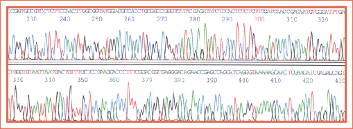High Quality Data from RetroPrep Ultrapure Miniprep Kit