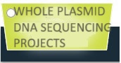 DNA Sequencing projects